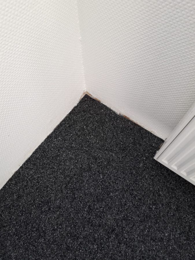 Kombination aus richtungsfreiem Kugelgarn-Teppich und Vinyl-Designbelag in Objektqualität-03