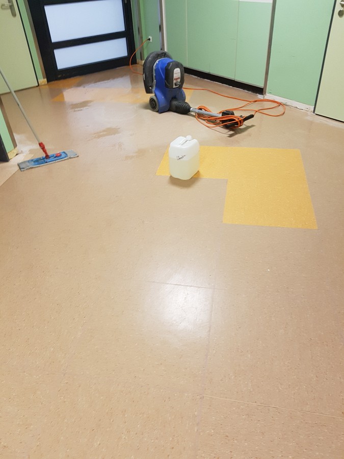 Entfernung alter Bodenbeläge im gewerblichen Bereich