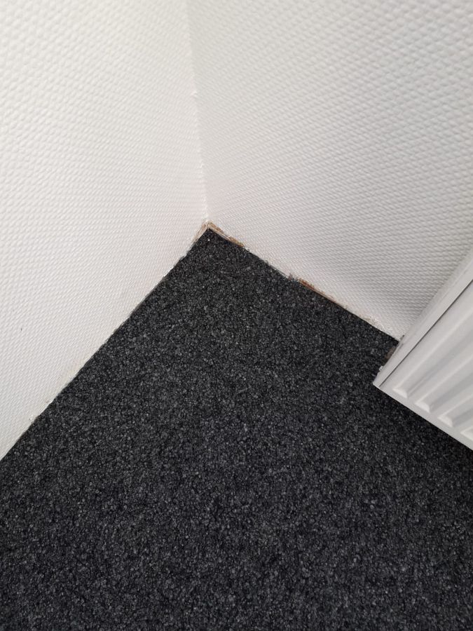 Kombination aus richtungsfreiem Kugelgarn-Teppich und Vinyl-Designbelag in Objektqualität-03