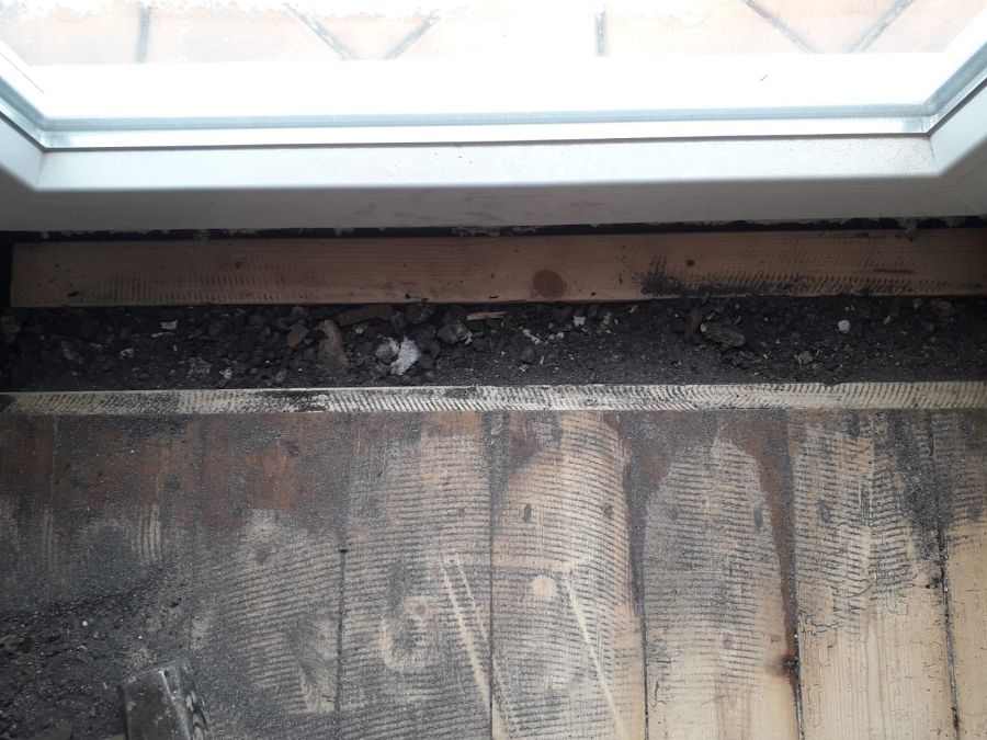 Professionelle Parkett-Aufarbeitung: Eiche Massivparkett und Holzdielen geschliffen, antikfarbig geölt und lackiert-03